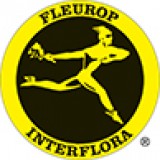 Fleurop Discount Codes